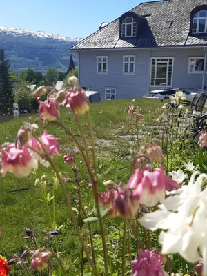 a house with pink and white flowers in a yard at Ole Bull Akademiet in Vossevangen