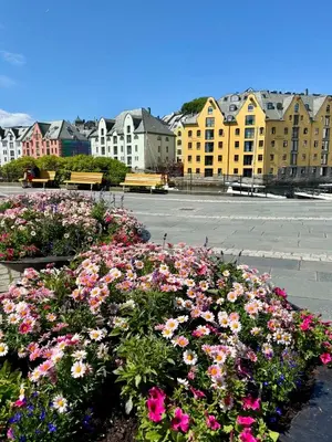 a bunch of flowers in a parking lot with buildings at Apartment by the center of Ålesund in Ålesund
