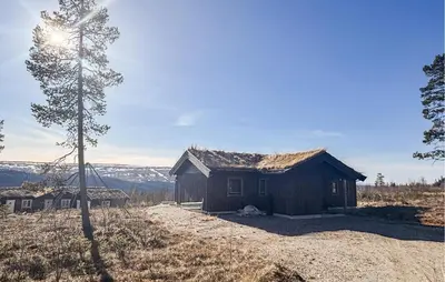 a small shack in a field with a tree at Stunning Home In Engerdal With Wifi in Nymoen
