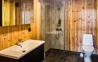 a bathroom with a sink and a shower and a toilet at Stunning Home In Engerdal With Wifi in Nymoen