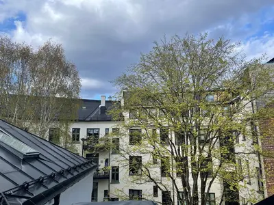 a tree in front of a white building at oslo in Lii