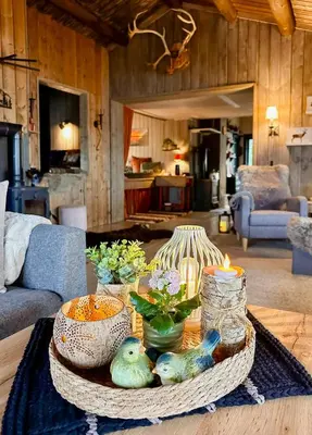 a tray with birds on a table in a living room at Idyllic Cabin By The Water In Hessdalen in Ålen