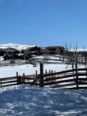 a fence in a snow covered field with a house at Large and family friendly cabin near Langedrag in Tunhovd