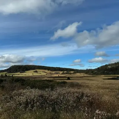 Timber Cabin With Views Over Golsfjellet