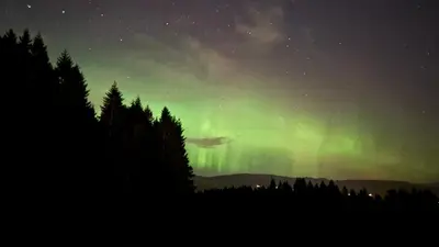 an image of the northern lights in the sky at Birdbox Bergen in Bergen