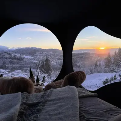 Birdbox Bergen