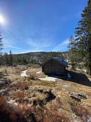 a small wooden cabin in a field with trees at Cabin at Norefjell! Perfect for families with children in Runn