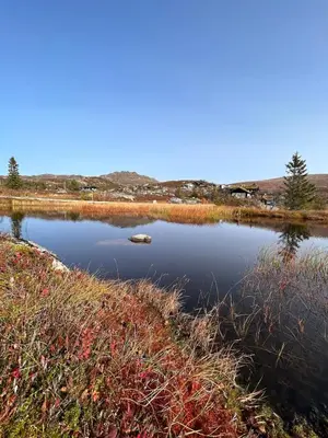 a small lake in the middle of a field at Cabin at Norefjell! Perfect for families with children in Runn