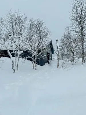 a house covered in snow next to some trees at Cozy Cabin In Scenic Vøringsfoss in Garden