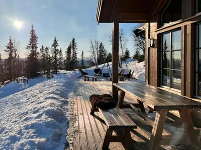 a dog sitting on a wooden deck in the snow at Modern Family Cabin By Tempelseter Ski Trails in Eggedal