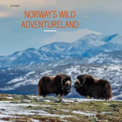 two animals standing on top of a mountain at Ski-in ski-out high standard cabin, 3 bedroom in Oppdal