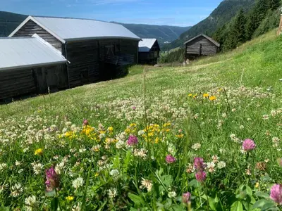 a field of flowers on a hill with buildings at Architect designed sleeping box in barn in Nos