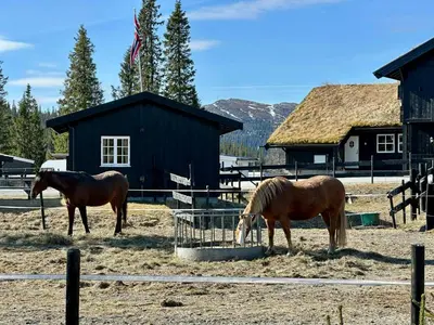 two horses eating hay in a pen in front of a barn at Family-Friendly Mountain Cabin At Haglebu in Haglebu