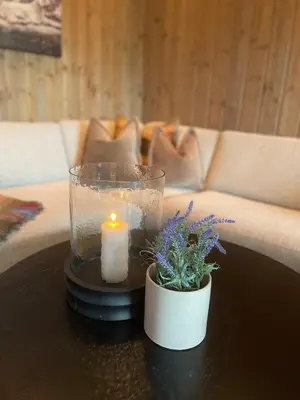 a candle and a potted plant on a coffee table at Beautiful City Cottage at Geilotunet in Hol