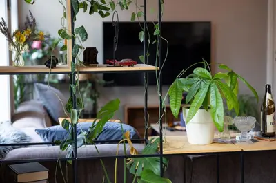 a living room filled with lots of plants at Big apartment in central Aalesund in Ålesund