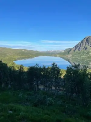 a lake in the middle of a field with trees at Modern Mountain Cabin With Views At Filefjell in Tyinkrysset