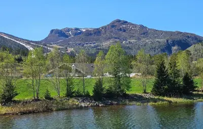 a river with trees and a mountain in the background at Stunning Apartment In Hemsedal in Hemsedal