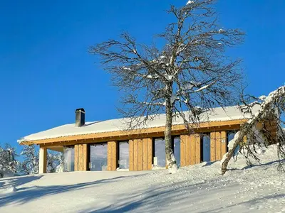 a house in the snow with a tree in front at Modern Cabin By The Ski Trails At Fagerhøy in Sør-Fron