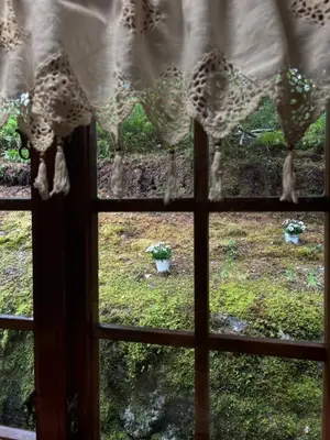 a view through a window of a field of grass at Skogshytte in Holmøyane