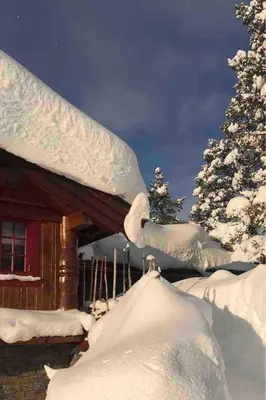 a house covered in snow next to a tree at Holiday cabin, Kristianplass at Bjorli, Lesja in Bjorli