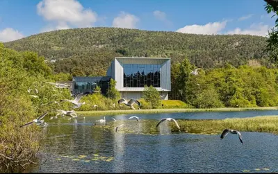 a flock of birds flying over a lake with a building at Penthouse apartment with sauna, balcony and free coffe in Bergen