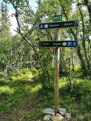 a wooden pole with street signs on a trail at Family Cabin With Annexe In Haglebu in Eggedal