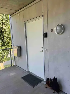 a couple of cats sitting in front of a door at Staupslia Apartment in Levanger