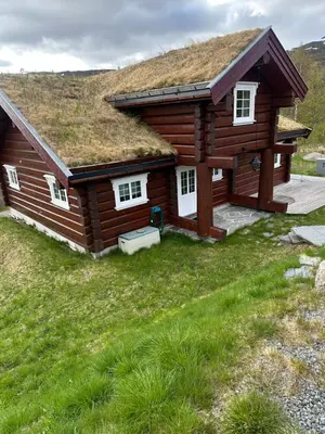 a log cabin with a grass roof at Lekker tømmerhytte in Tyinkrysset