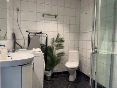 a bathroom with a toilet and a sink and a shower at Heimby Homes - Four Bedroom Family Penthouse in Bergen