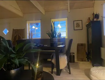 a living room with a table with a potted plant on it at Ingeborgstova in Lii