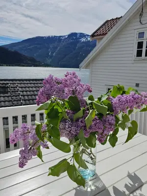 a vase filled with purple flowers sitting on a porch at Sentralt i Sogndal terrasse med fjordutsikt in Sogndal