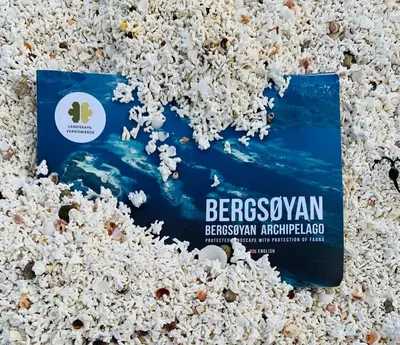 a package of beeswax in a pile of popcorn at Posthuset Expedition Lodge in Lii