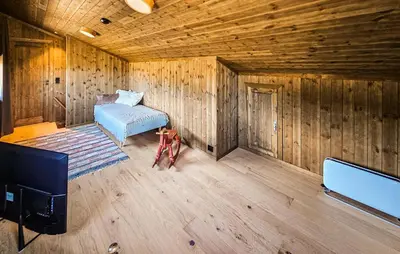 a room with a bed and a tv in a wooden room at 4 Bedroom Stunning Home In Eggedal in Eggedal