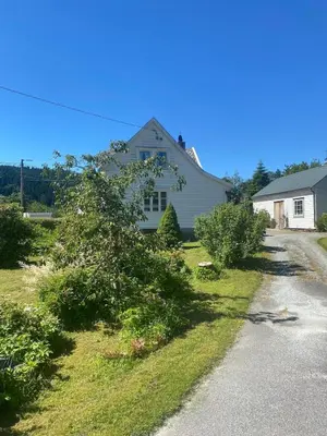 a house with a tree fallen on the side of a road at Cozy house closw in Lii