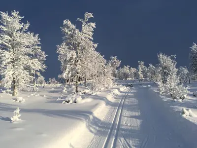a snow covered road with snow covered trees and tracks at Lauvåsen - Langleiken in Sør-Fron