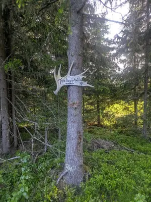 a sign on a tree in a forest at Tretopphytta Kraggbua