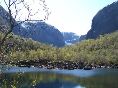 a view of a river with trees and mountains at Skogshytte in Bjordal