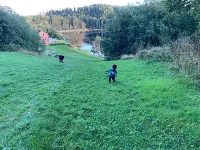 a young child running in a field with a dog at Cabin at Hestsjøen Badeplass in Trondheim