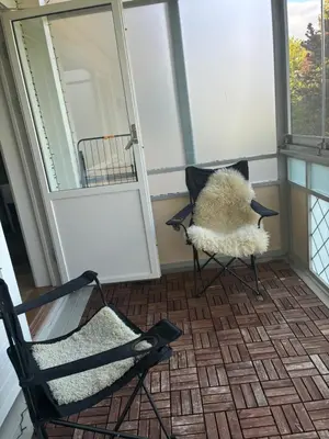 a bird sitting on a chair in front of a door at FINN-bruker in Lii