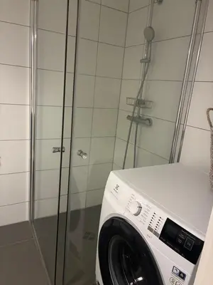 a washing machine in a bathroom with a shower at FINN-bruker in Lii