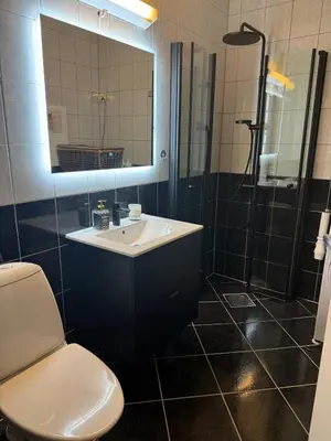 a bathroom with a sink and a shower and a toilet at Modern central apartment in a quiet area in Bergen