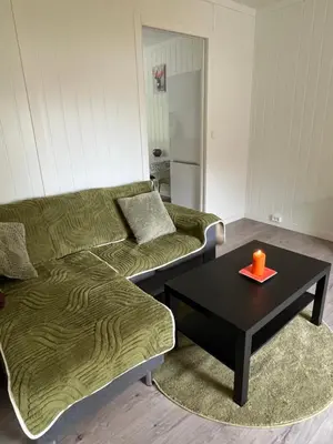 a living room with a green couch and a table at Green apartment in Odda