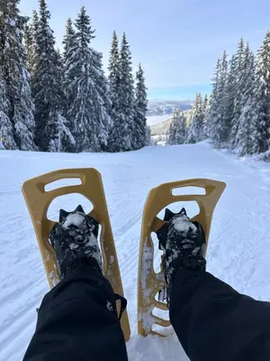 a person is riding a snowboard in the snow at Nord-Garthus, leilighet 2 in Hølera