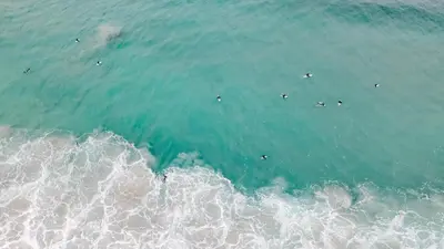 a group of people swimming in the ocean at Beach apartment with unique view in Ervik