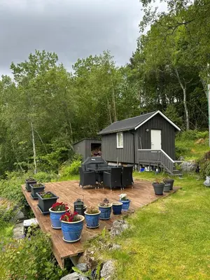 a group of potted plants sitting on a wooden deck at Koselig hytte i sjøkanten in Ålesund