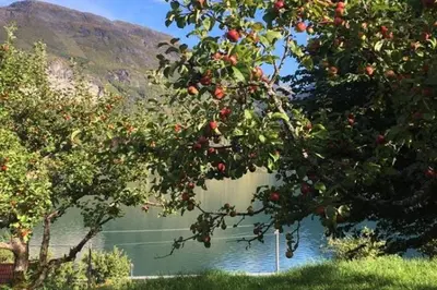 a tree with fruit in front of a body of water at Cabin in Oppstryn in Stryn
