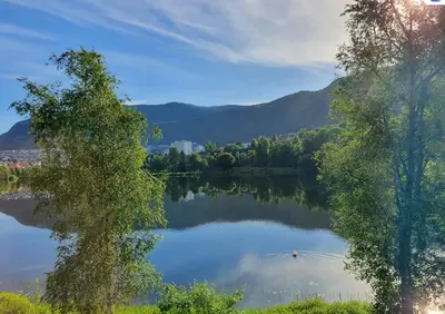 a view of a lake with trees and mountains at New Modern Apartment Near Tram Fantoft in Bergen