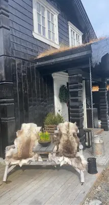 two dogs laying on a bench in front of a house at Spacious Family Cabin At Nesfjellet With Views in Nesbyen