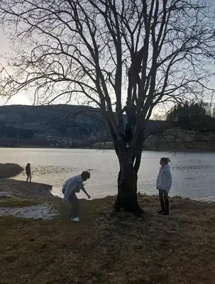 a group of people standing next to a tree at Nesvika 5 bedroom holiday home, only 25 min from Bergen in Bergen
