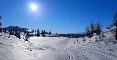 a snow covered road with the sun in the sky at Luxury Mountain Cabin Modern and Stylish in Uppheim
